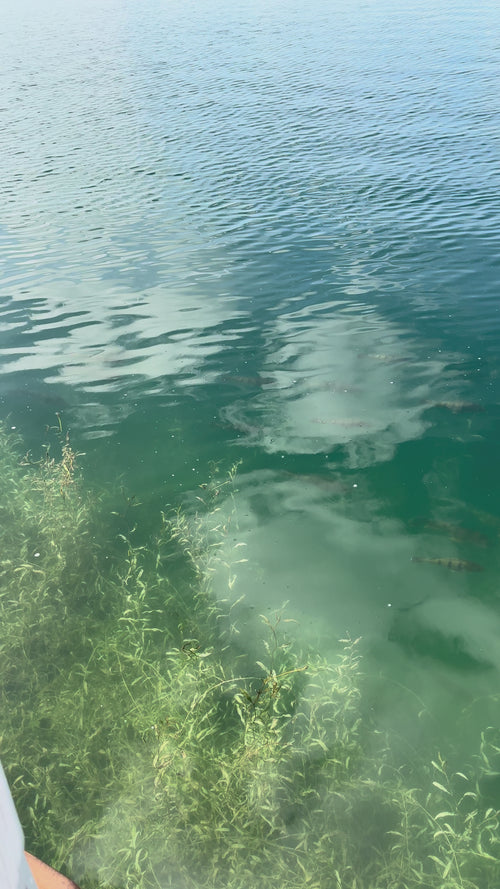 A quick video demo of these pro fishing glasses in action on a sunlit lake. The video shows how the special lenses cut harsh surface glare to reveal submerged structures and fish, demonstrating why they are the best fishing sunglasses to see through water